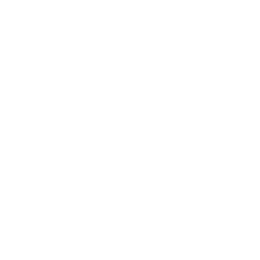 Brooklyn Monarch